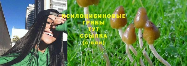 прущие крисы Армянск
