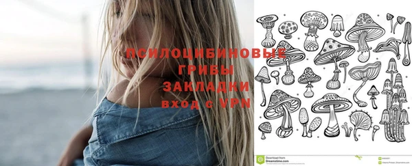 прущие крисы Армянск