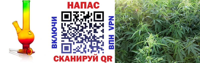 ссылка на мегу как войти  Покровск  Конопля Ganja 